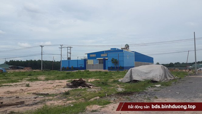 Hiện trạng các nhà xưởng xây dựng trại phép tại cụm công nghiệp Phước Tân