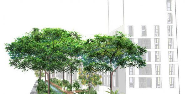 Bố trí cây xanh tại dự án Đại học quốc tế Việt Đức