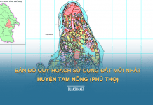 Tải về bản đồ quy hoahcj sử dụng đất huyện Tam Nông (Phú Thọ)