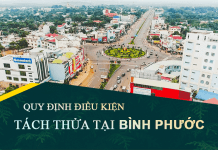 Tài tài liệu quy định điều kiện tách thửa, hợp thửa đất tại Bình Phước