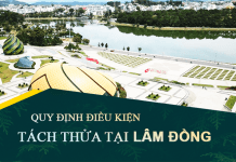 Quy định điều kiện tách thửa, hợp thửa đất tại tỉnh Lâm Đồng mới nhất