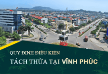 Tài liệu quy định điều kiện tách thửa, hợp thửa đất tỉnh Vĩnh Phúc