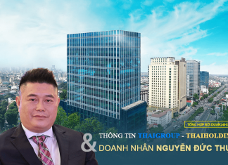 Thông tin về doanh nhân Nguyễn Đức Thụy và Thaigroup, Thaiholdings