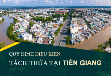 Tài liệu, văn bản quy định điều kiện tách thửa đất tại tỉnh Tiền Giang