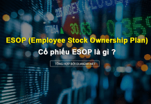 Cổ phiếu ESOP là gì ? Những điều nhà đầu tư cần biết