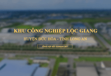 Khu công nghiệp Lộc Giang, huyện Đức Hòa, tỉnh Long An