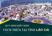 Tài liệu, văn bản quy định điều kiện tách thửa đất tại tỉnh Lào Cai