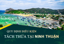 Tài liệu, văn bản quy định điều kiện tách thửa đất tại tỉnh Ninh Thuận