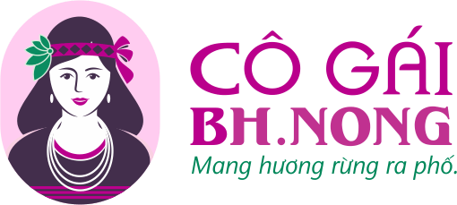 Logo nhận diện thương hiệu Bh.nong