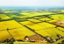 Dự thảo Luật đất đai sửa đổi cho phép đối tượng không sản xuất nông nghiệp được nhận chuyển nhượng đất trồng lúa