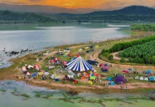 Hoạt động camping tại Hồ Dầu Tiếng