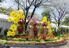 Đường hoa, hội hoa xuân tỉnh Bình Dương năm 2023 (Quý Mão)
