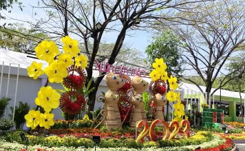 Đường hoa, hội hoa xuân tỉnh Bình Dương năm 2023 (Quý Mão)