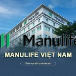 Thông tin cập nhật Manulife Việt Nam