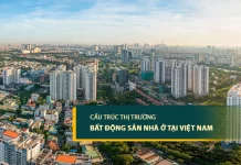 Cấu trúc thị trường bất động sản nhà ở Việt Nam