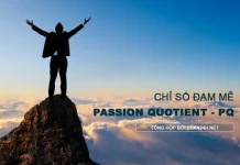 Chỉ số đam mê (Passion Quotient viết tắt là PQ)