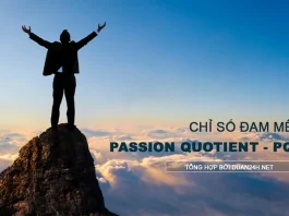 Chỉ số đam mê (Passion Quotient viết tắt là PQ)