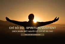 Chỉ số SQ (Spiritual Quotient)