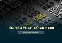 Thông tin, kiến thức về chỉ số S&P 500