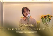 Tiểu sử và sự nghiệp của của rapper CADMIUM