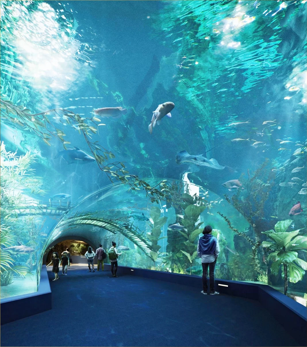 Thủy cung Lotte World Hà Nội | Lotte World Aquarium Hanoi