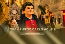 Thông tin về Chân phước Carlo Acutis
