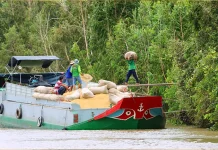 Tài Công là phương ngữ chỉ người lái thuyền, lái tàu