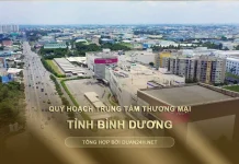 Quy hoạch Trung Tâm Thương Mại (TTTM) tỉnh Bình Dương