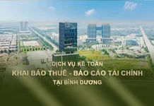 Báo cáo thuế, dịch vụ kế toán tại Bình Dương giá tiết kiệm