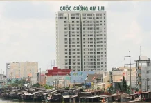 Quốc Cường Gia Lai, quá trình hình thành và phát triển