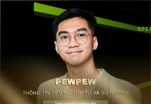 Tiểu sử, đời tư và sự nghiệp PewPew