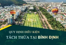 Quy định điều kiện tách thửa đất tại tỉnh Bình Định