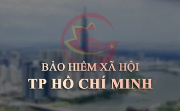 Địa chỉ, hotline Bảo hiểm Xã hội TP Hồ Chí Minh Địa chỉ, hotline Bảo hiểm Xã hội TP Hồ Chí Minh